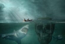 Most dangerous sharks in the world