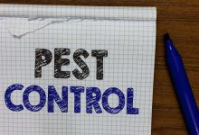 starting a pest control business