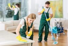 professional cleaners