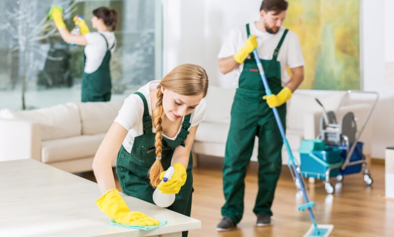 professional cleaners