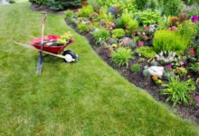 Landscaping Services